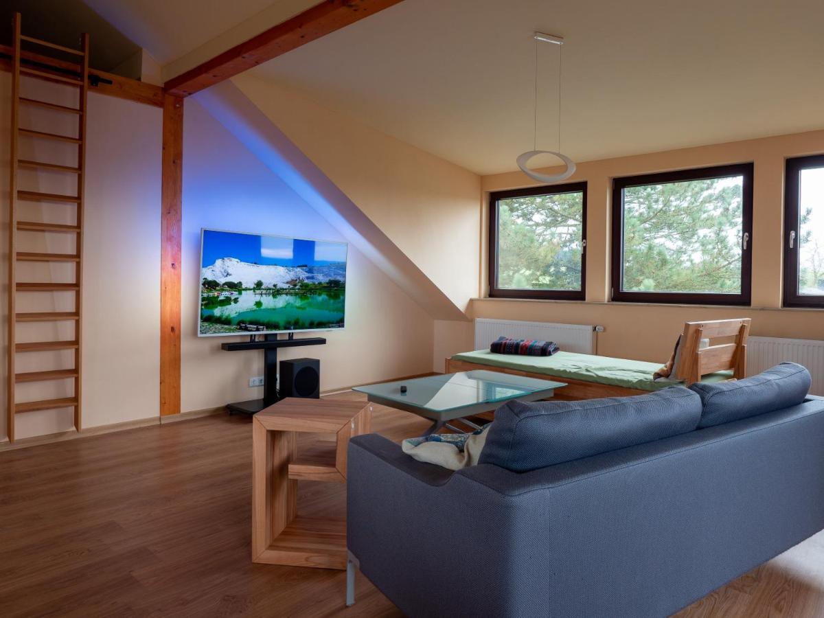 Sinzing Stifterfelsen Ferienwohnung מראה חיצוני תמונה
