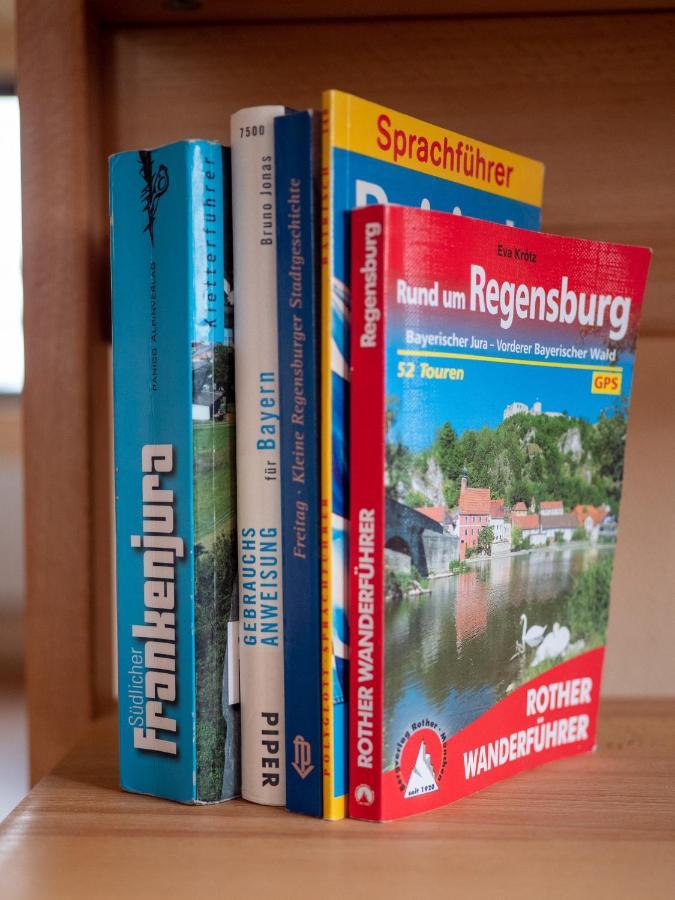 Sinzing Stifterfelsen Ferienwohnung מראה חיצוני תמונה